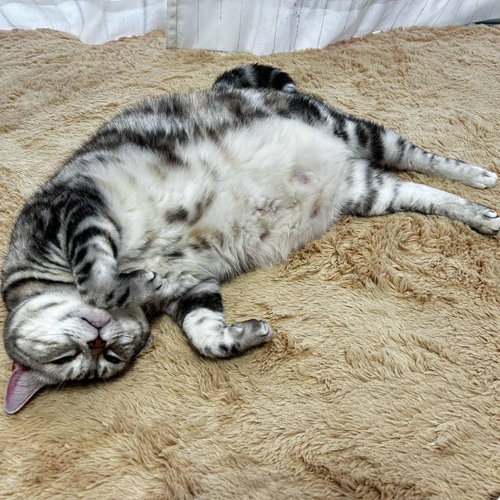 9a132f78 d4cb 4941 b3d0 9d3589157328 1763333693554