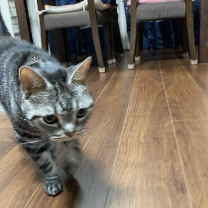 9a136165 aa6c 440b 91e8 88efc6dfe0c7 1640907553134