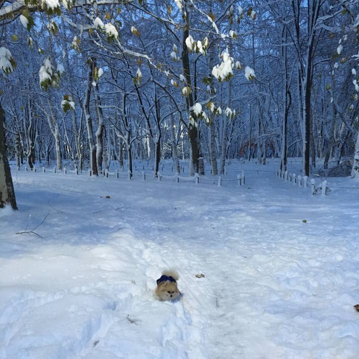 9a13672f 2c3f 499f a052 7a83a31df176 1511086617413