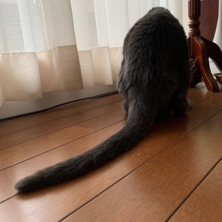 9a13864c 33a0 4e90 ab62 2303af955dca 1558996716377