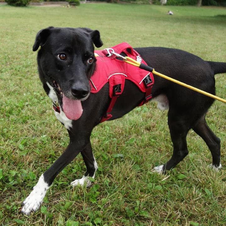 9a139e14 468a 432d b4e0 0cadb0a5e72d 1601857504415