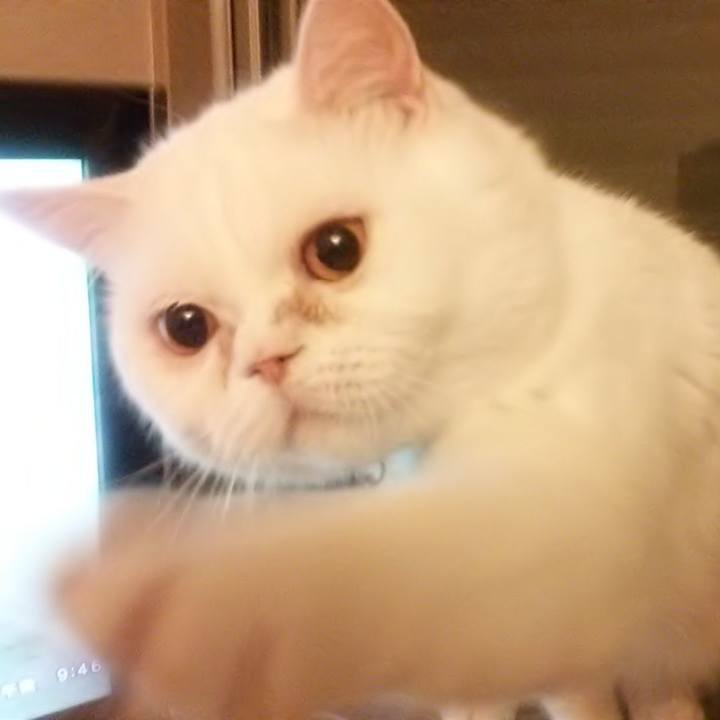 9a139fe6 09b0 4c06 9e47 2fb6dab3027e 1622932719088