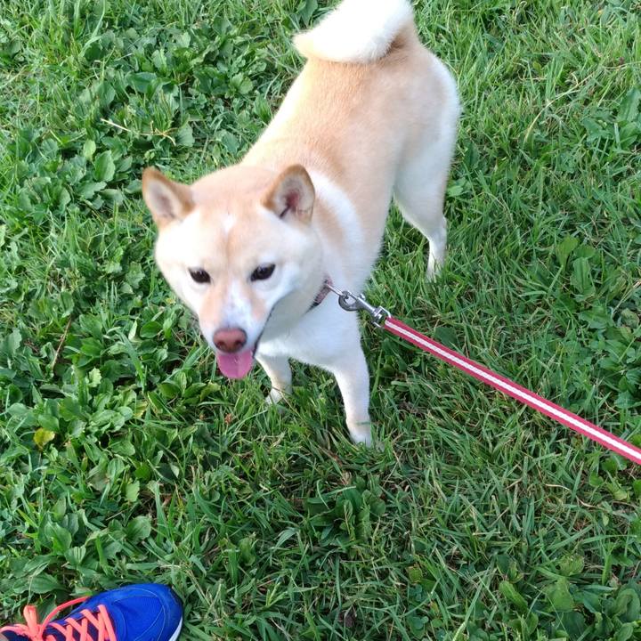 9a13b082 38b8 4187 839b e01d138cf688 1598177383195