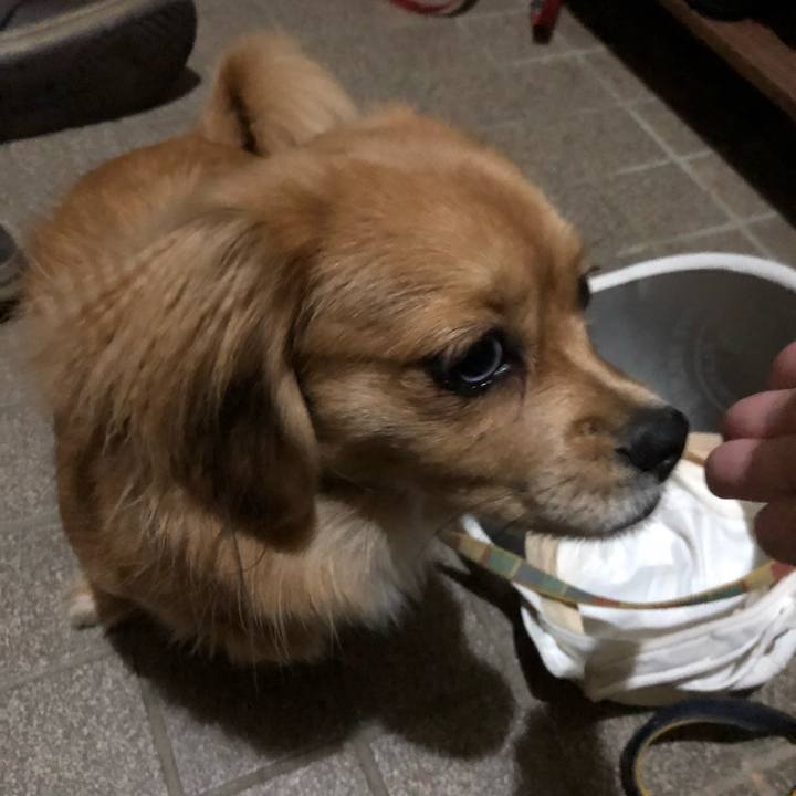 9a13bd02 5bdb 43b8 8ce9 5beac175311f 1511818800057