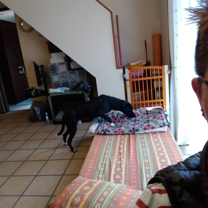 9a13caff fbf8 4269 86eb e468dbcfe1ef 1588329030074