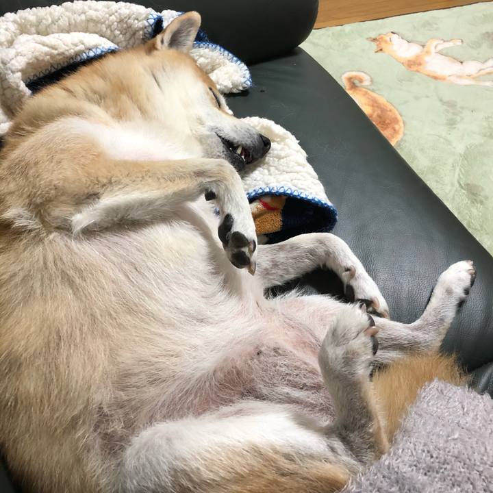 9a141988 a30a 4aee a260 437483471517 1576633757732