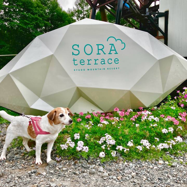 9a147374 5a95 4be2 8a9d e95430365525 1723724167756