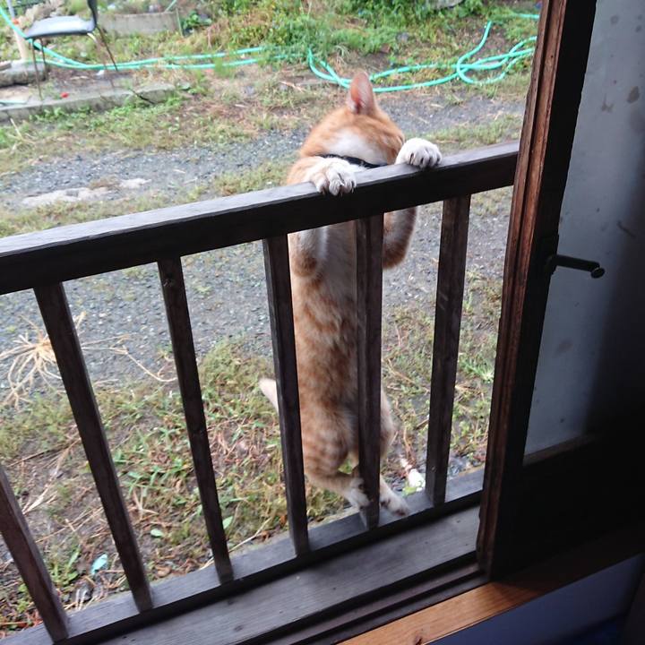 9a1490fc b080 499b 93bf 17c59a0df7e0 1567979192716