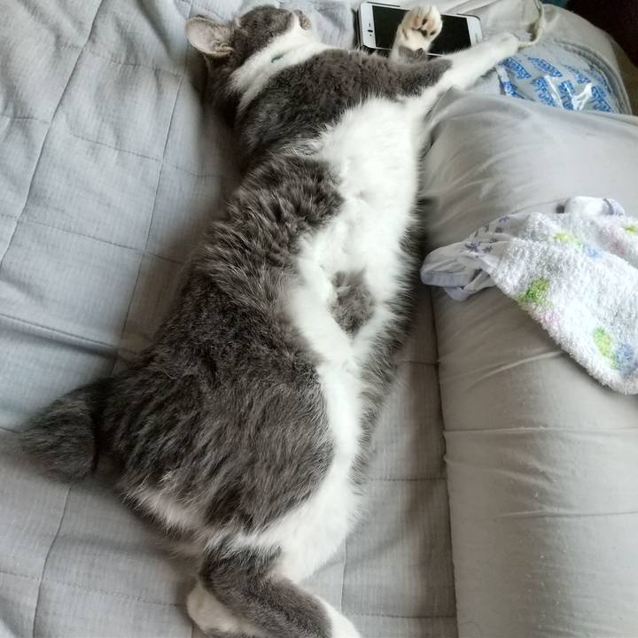 9a14c0e2 f164 431e a8fc 4f868a70598b 1626180766264