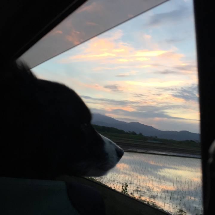 9a14d8ad c1b9 436e 87e8 84dd7657bd58 1560684189060