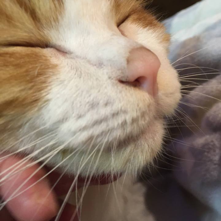 9a14fc7b 315f 4db7 aa0b 6aeac9102236 1573306869713