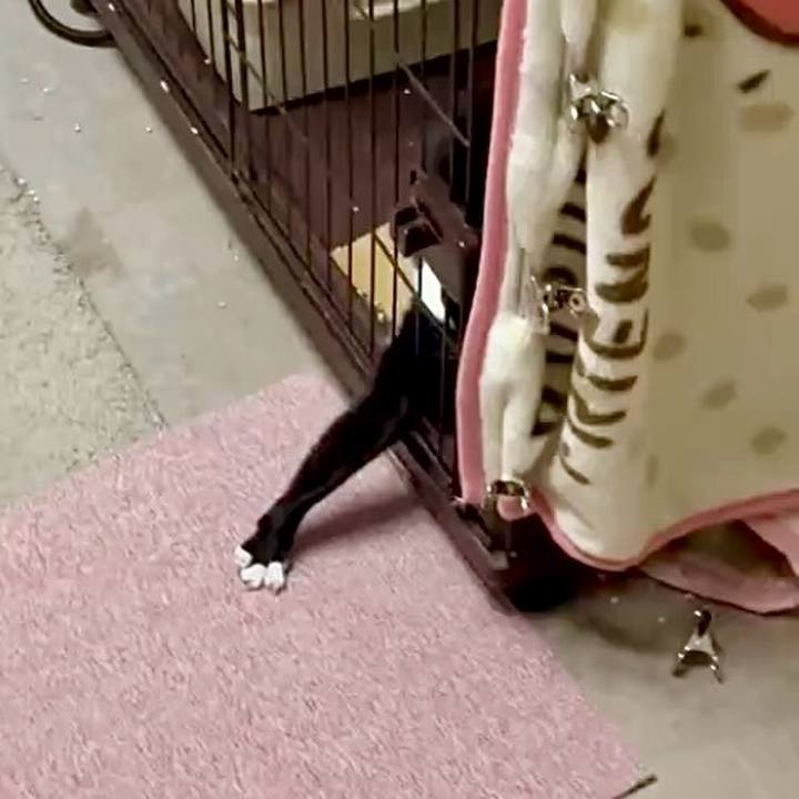 9a1500b2 e420 4bc8 9492 140dc3b5949f 1763519542779