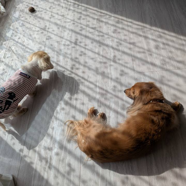 9a154d3e 041d 4c8d 989c c88732a0a225 1771652482885