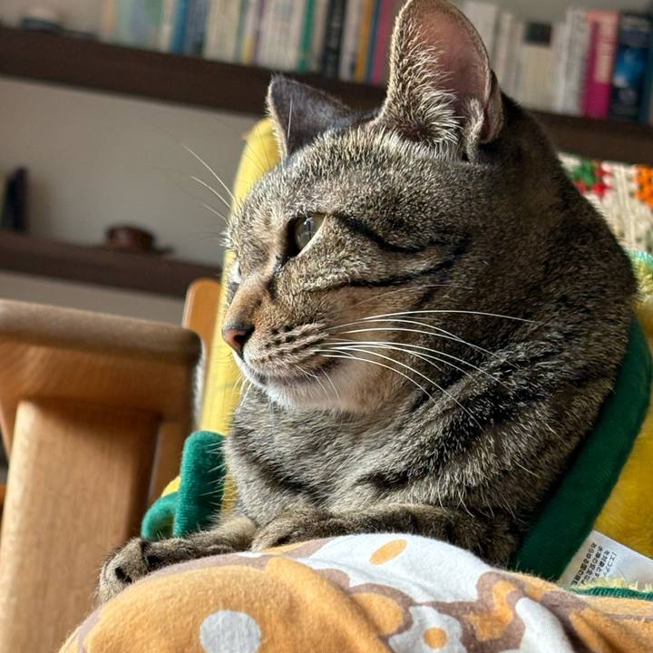 9a1558f1 76bf 4eaa 8c27 923c62c3c339 1769310210535