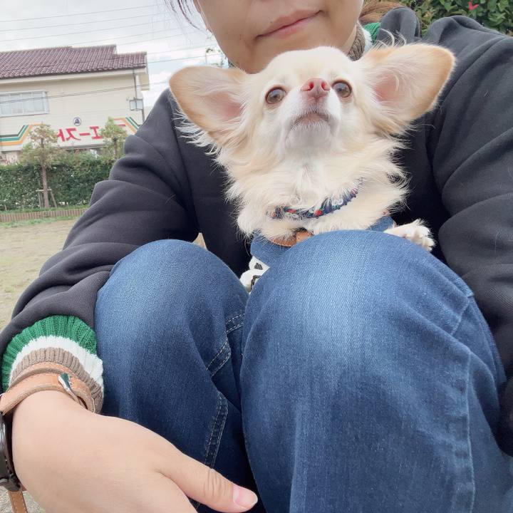 9a15693d d3ae 44be aa40 08a689ac29cf 1729491613870