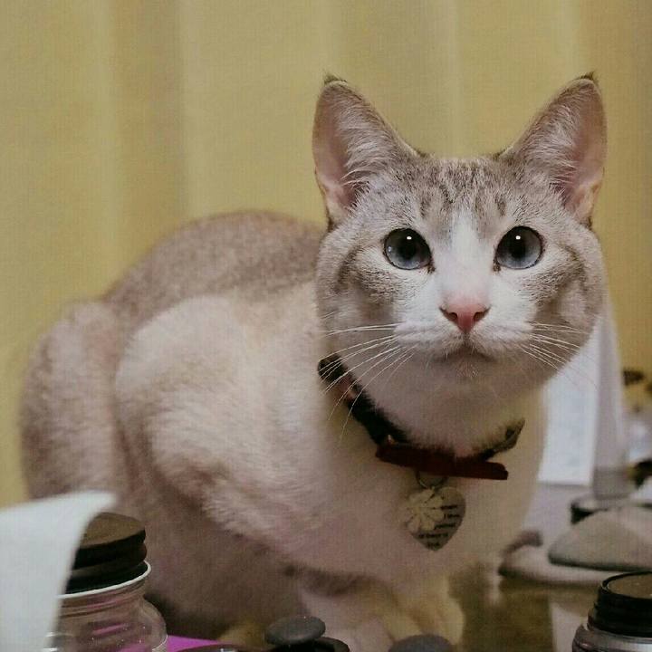 9a1569c3 6e77 4bce 9b7e 3b8993cf48c6 1522294773765