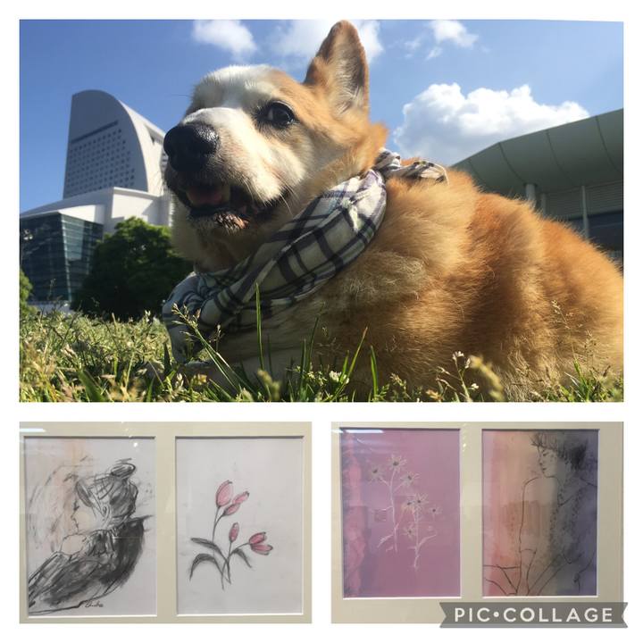 9a157908 693f 4f47 9a0c 771316bead2c 1621388410653