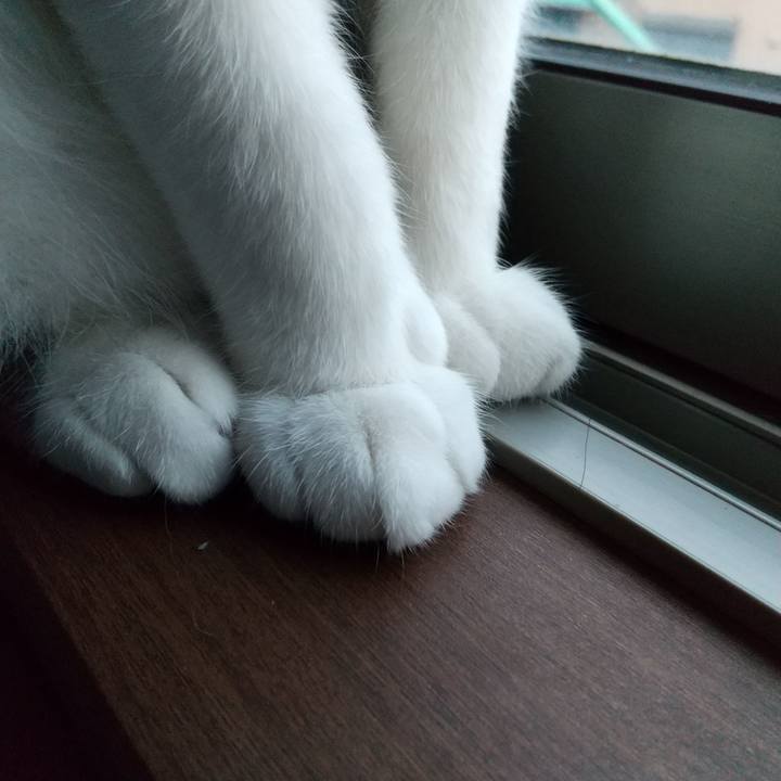 9a1585f8 f4a2 4921 9e6a 3f7cc7657c5b 1617052987064