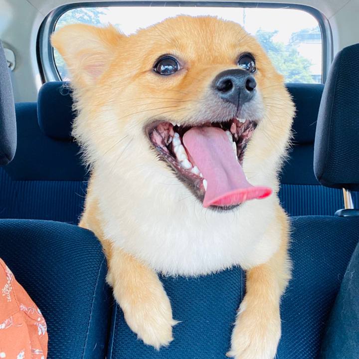 9a15ecfb b709 4802 a25e 4b544c5b81b5 1597133076582