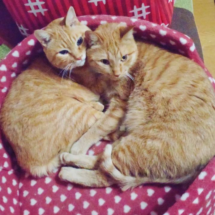 9a15efd2 635c 44da 8950 e507cd688755 1685069626273