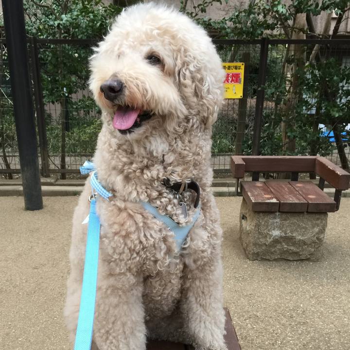 9a16535b 15ae 4017 83d5 d2092e1d2a57 1586092095837