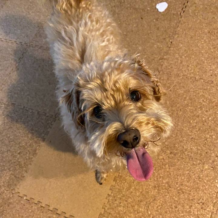 9a169066 6b27 4d5d 90c4 851c792f07d4 1632956108588