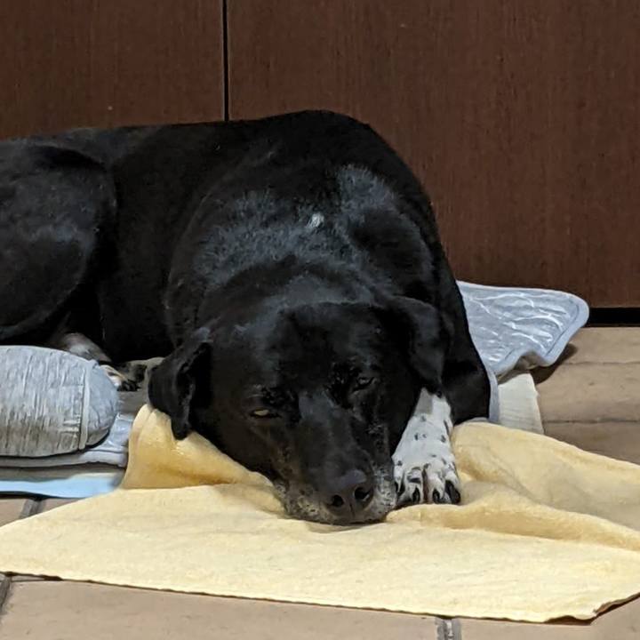 9a16acee 5e0e 48bc abec 0c06a527537d 1694478726235