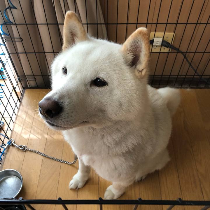 9a16d7de 9f34 4ca5 9f1a 64ac6500f99a 1556674605146