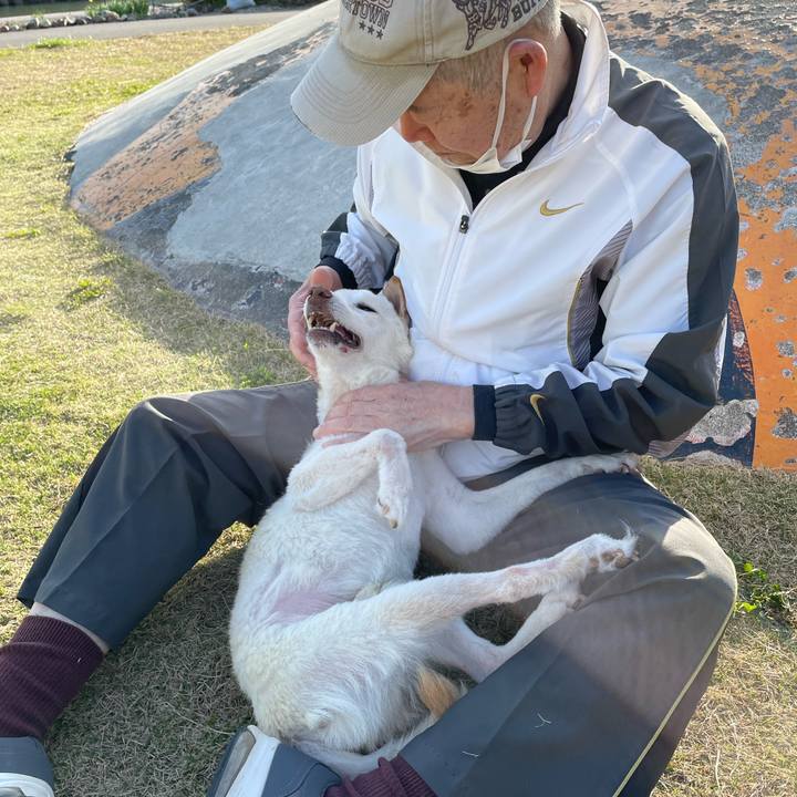 9a16fcd1 9a88 4548 9ec2 c6f1d453fd70 1678797726532