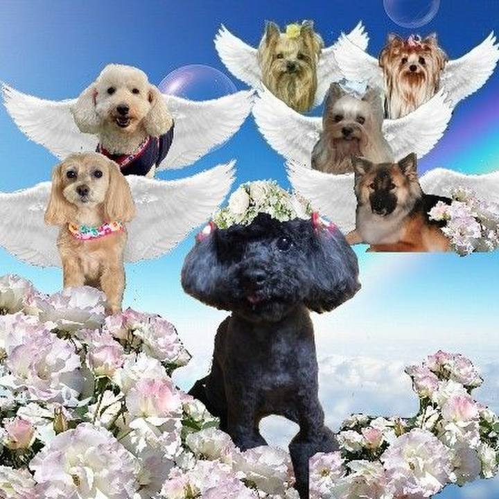 9a1733bd 2b24 4093 a749 b8f49889210b 1765323610231