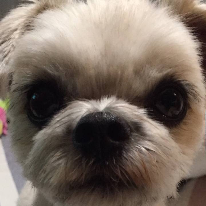 9a182558 989e 48d4 8abf 2c36934f40dd 1540650221880