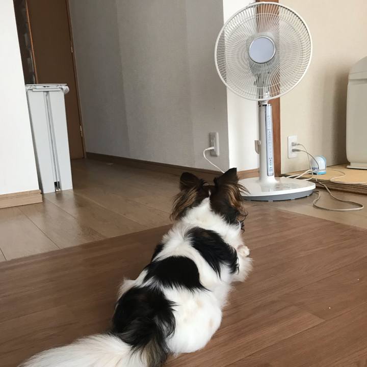 9a187072 8ed2 43a2 9b43 cd74d6025fd0 1564361359324