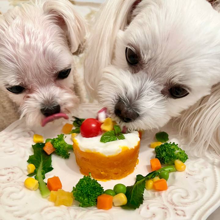 9a1870cb ff28 439e 85b7 03ea28892891 1672047728221