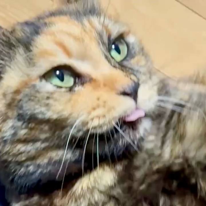 9a1885b8 0141 4321 a303 3e8f1e26cab6 1768421809696