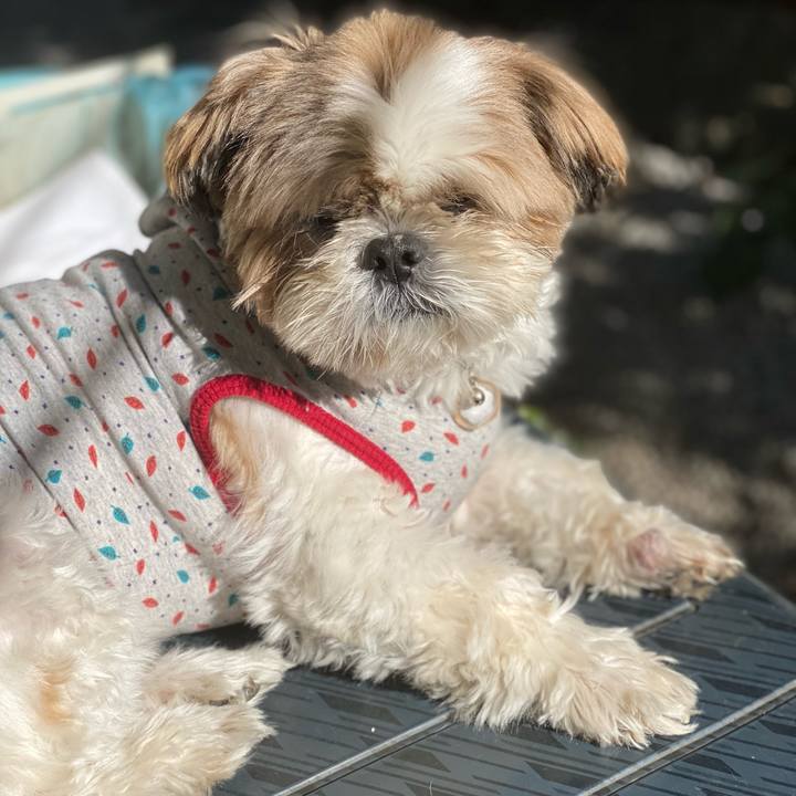 9a18a141 b6d2 40f7 ba38 7d33a464659c 1635049036276