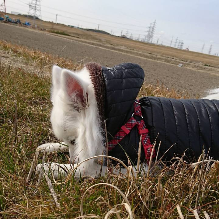 9a18a1f3 f15a 4b91 9d1b 031823fbc9f9 1519293204858