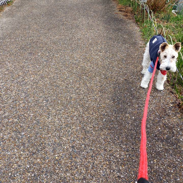 9a191b1e 3028 41c6 82aa a51bbde054bf 1614070575194