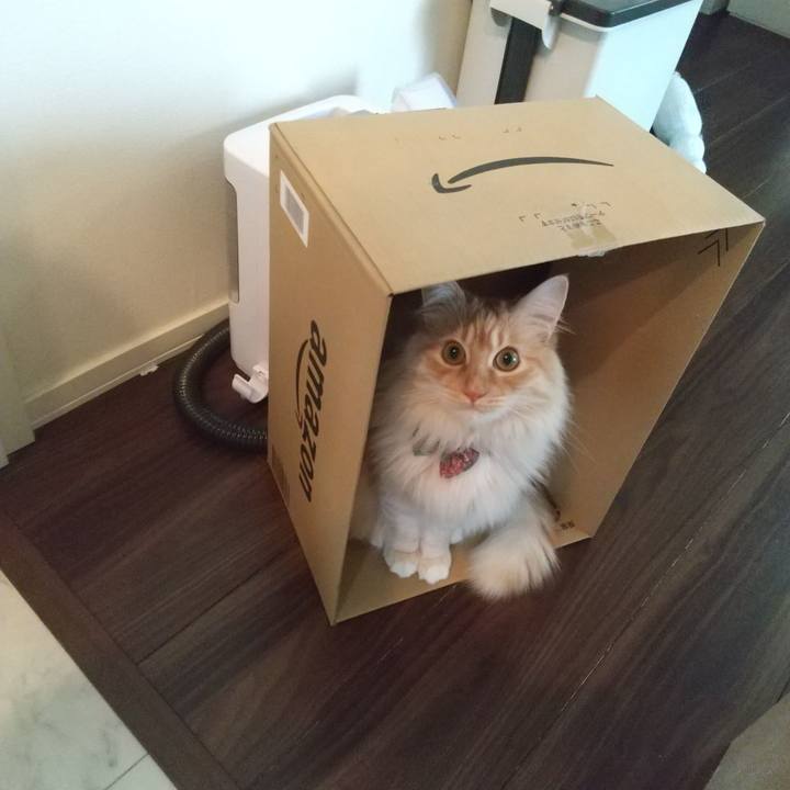 9a193d76 9f05 4933 b9be 2c5c545cd81d 1648263552703