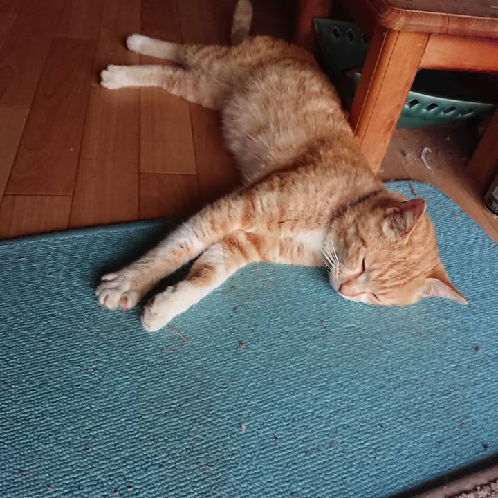 9a193f1f 4502 4a0a 930c 9fd29aa4aa9c 1556010941459