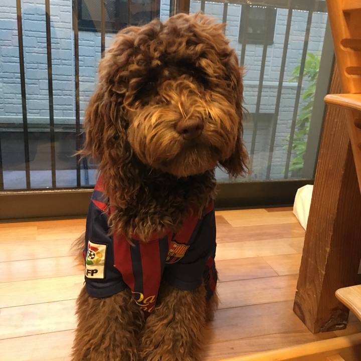 9a195671 41f9 489a b0ba 12fa93aedb69 1556616054751