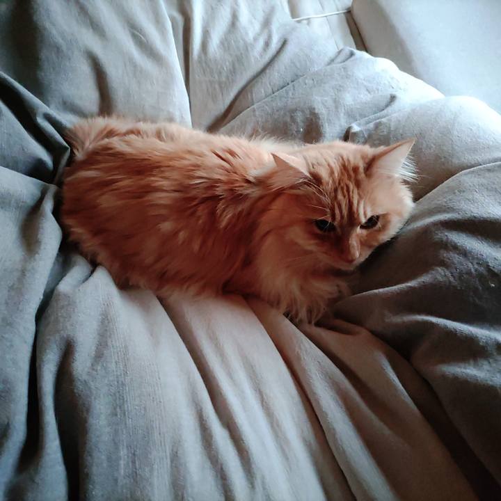 9a195c95 9f8c 4831 af4d 1dfb86d9825e 1678830593165