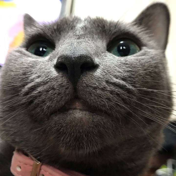 9a1960e1 1f7e 4679 a52e 414d9bdbe4a1 1563577476218