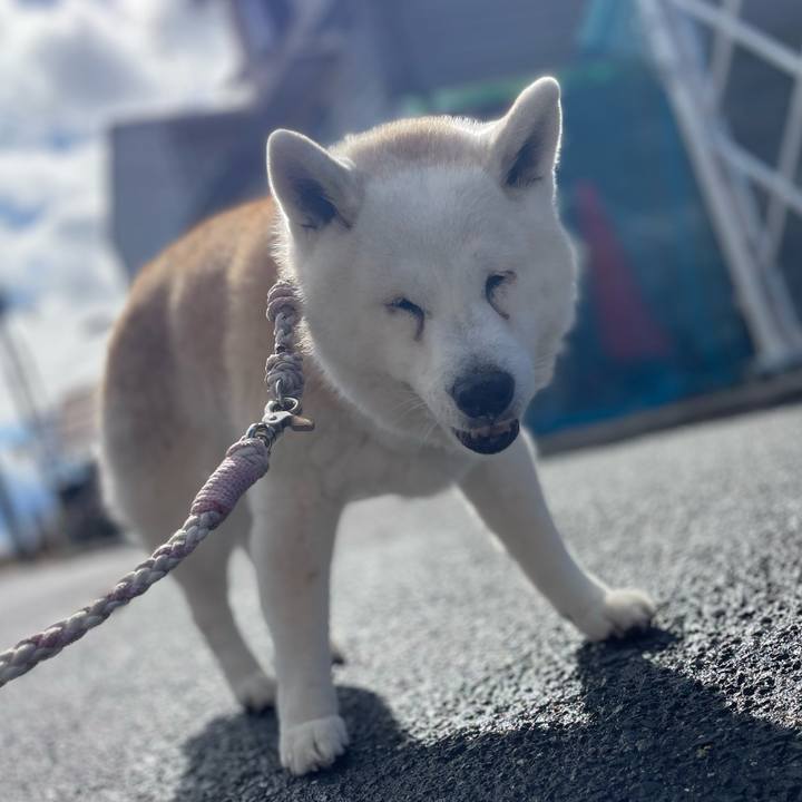 9a19a2b9 d9a0 4bdc 95cf 1b5619cfd412 1737931689295