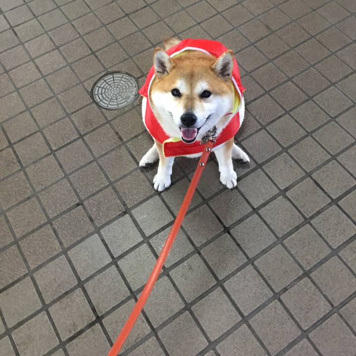 9a19d68c 2eee 45d9 94c4 fc44a87f1fc3 1568607785655