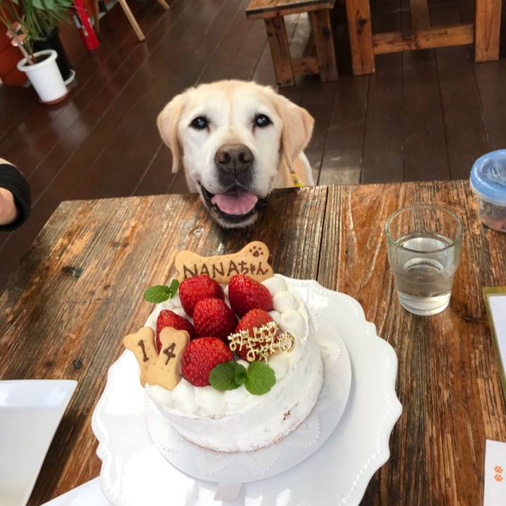 9a19d6fb b068 477a 9032 af3791c530fa 1543049173521