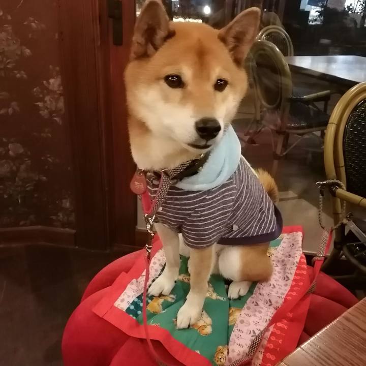 9a1a04cd 9af1 46f5 b0d2 44487ee62c8d 1607512564375