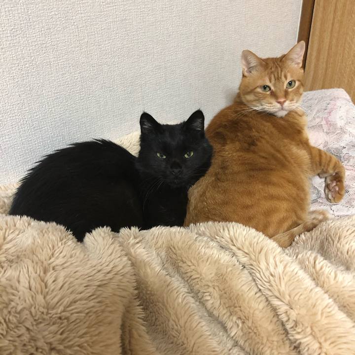 9a1a5c3c 716b 4356 adab 0586fdf7c238 1613728468143