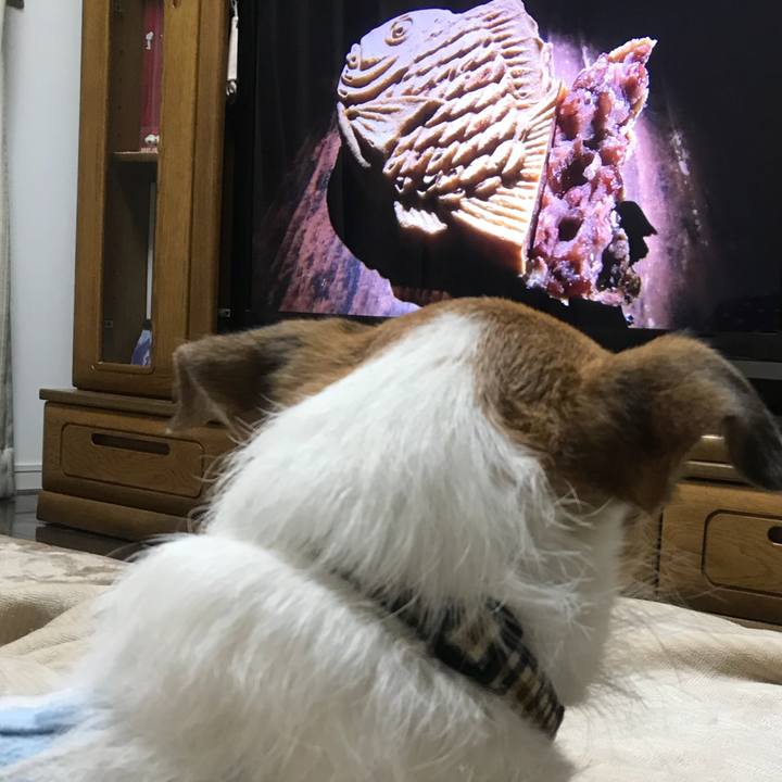 9a1a6e8f 2ffe 4d18 a456 56c8212b7205 1517623447512