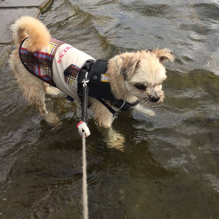 9a1a7b20 5cb2 41ac 80fa 5b64ec596019 1565866933275