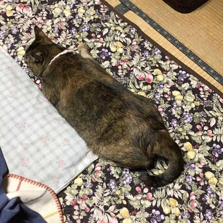 9a1a83e2 0a34 40bb b615 bf5aa9333b47 1746869302164